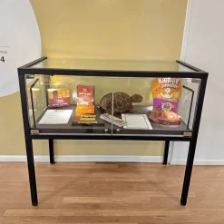 Glasmontre Arta m. glastop