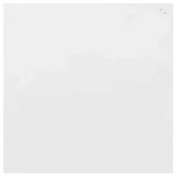 Glastavle Naga 100x100 cm