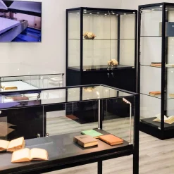 Glasvitrine Arta 120 cm, 1 hylde og skab