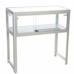 Glasvitrine/disk Allum m. skydelåge