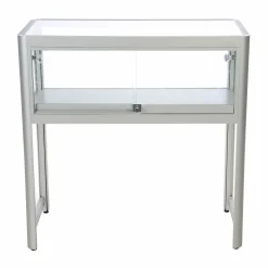 Glasvitrine/disk Allum m. skydelåge