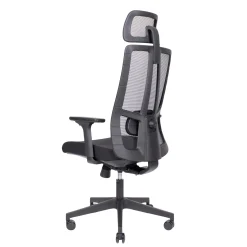 Kontorstol ErgoTek med nakkestøtte sort