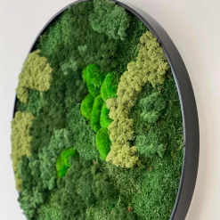 Mosbillede Mosmix 013 Ø80 cm