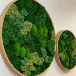 Mosbillede Mosmix 013 Ø30 cm