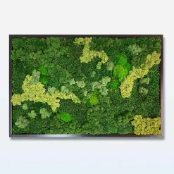 Mosbillede Mosmix 013 70x50 cm