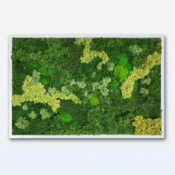 Mosbillede Mosmix 013 180x120 cm