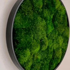 Mosbillede provencemos Ø30 cm