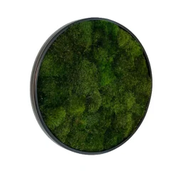 Mosbillede provencemos Ø30 cm