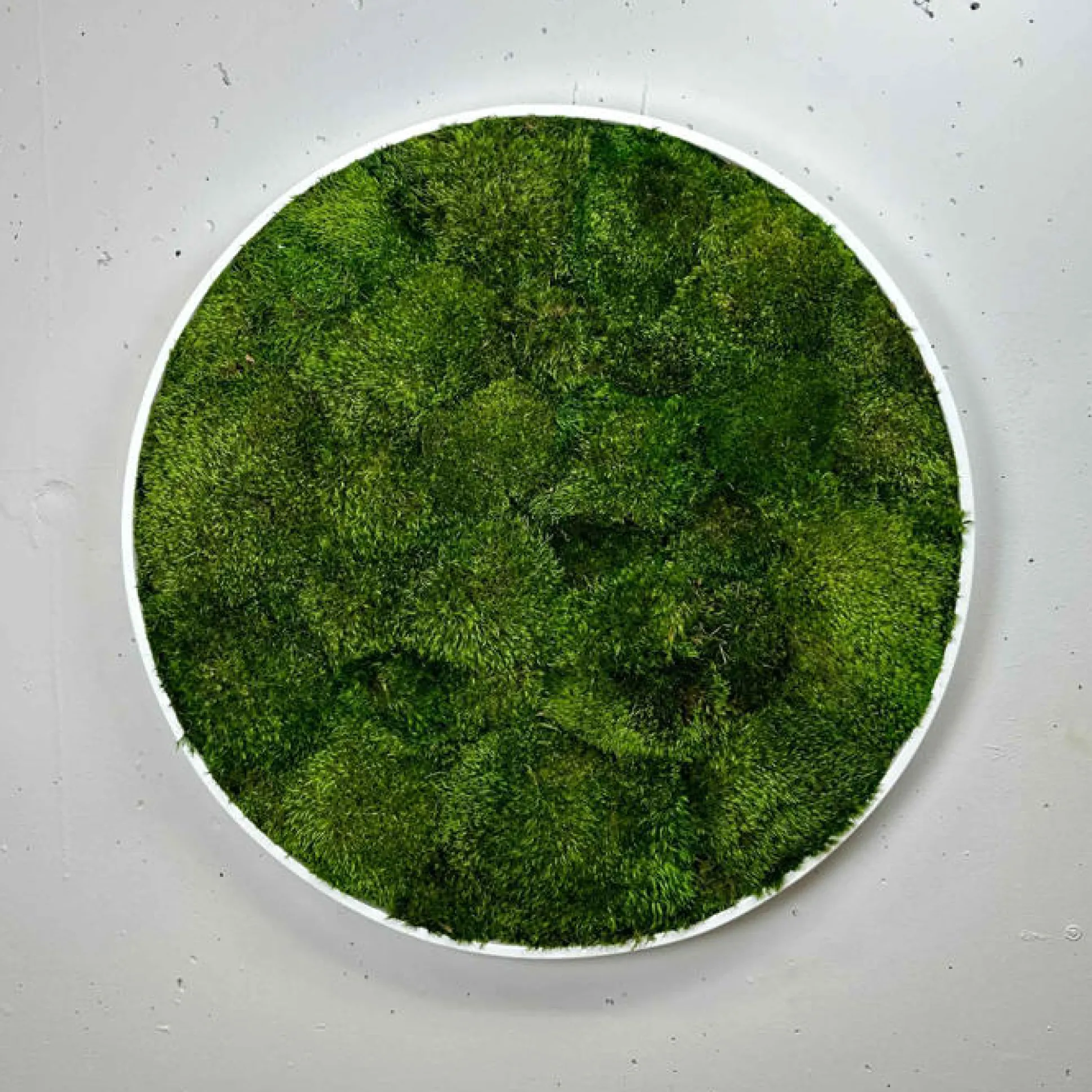 Mosbillede provencemos Ø30 cm