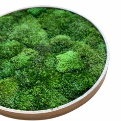 Mosbillede provencemos Ø30 cm