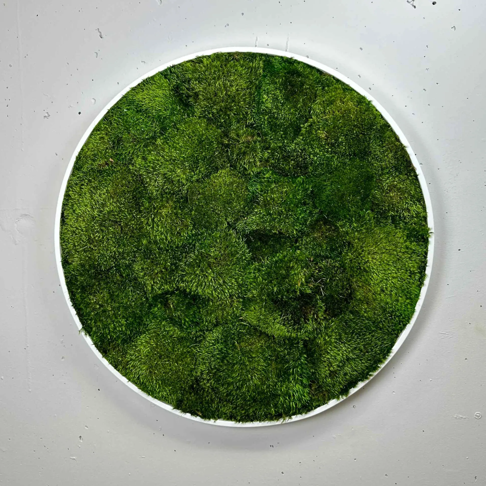 Mosbillede provencemos Ø50 cm