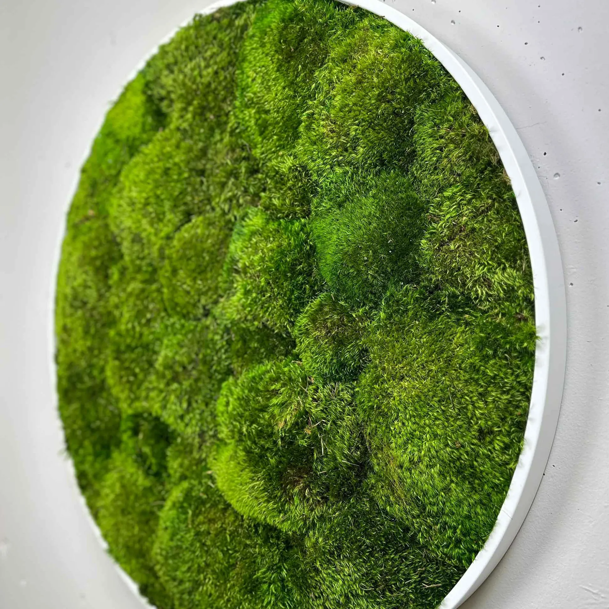 Mosbillede provencemos Ø50 cm