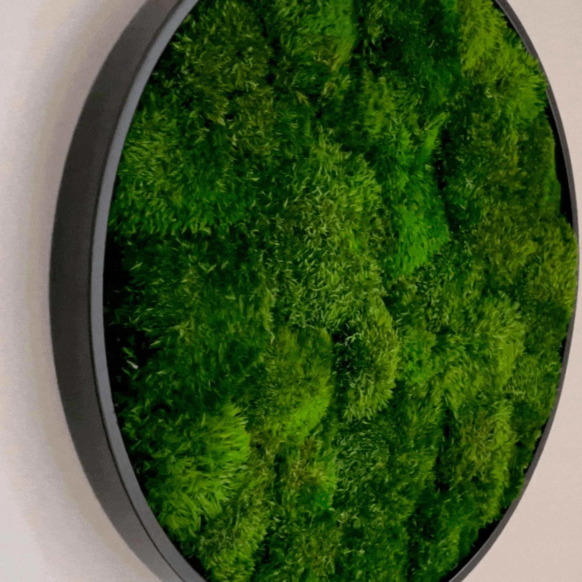 Mosbillede provencemos Ø50 cm