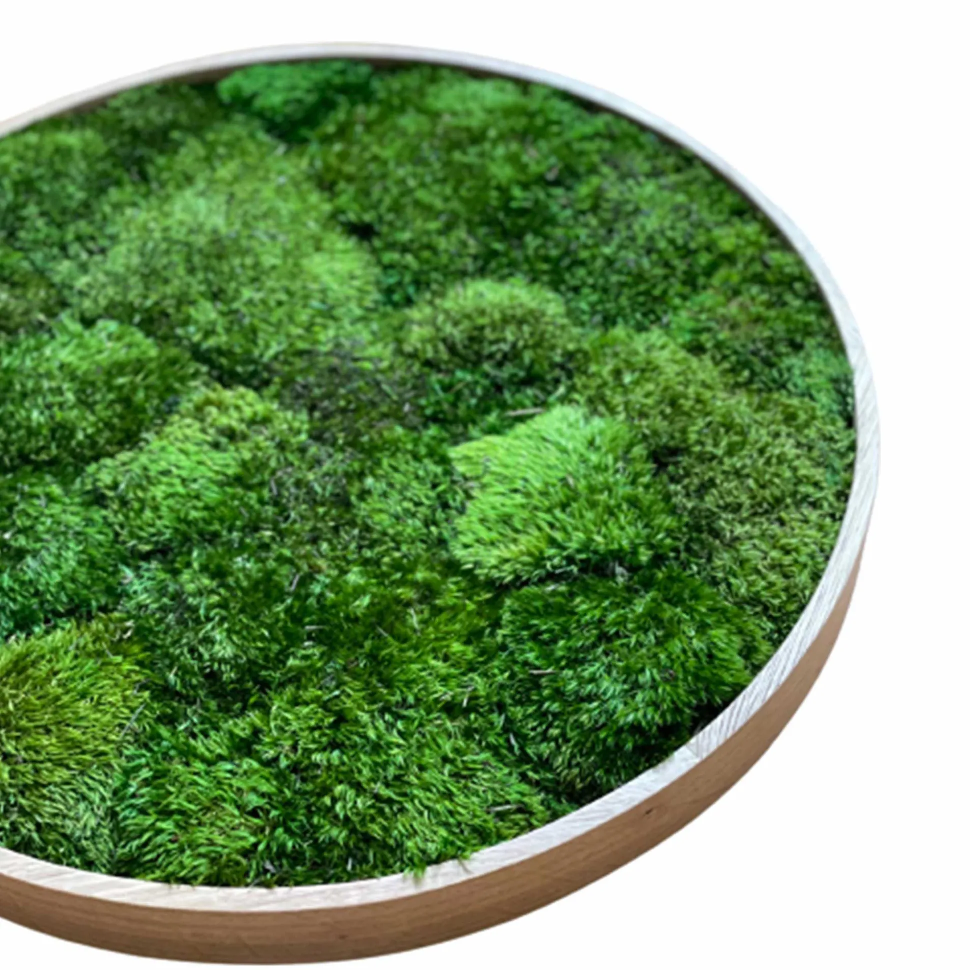 Mosbillede provencemos Ø50 cm