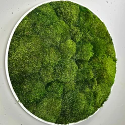 Mosbillede provencemos Ø80 cm