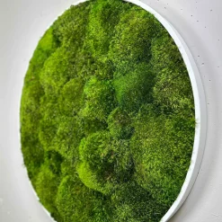 Mosbillede provencemos Ø80 cm