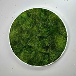 Mosbillede provencemos Ø80 cm