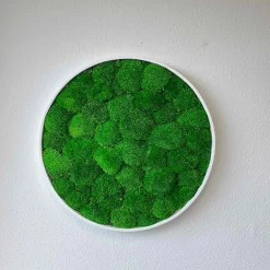 Mosbillede pudemos Ø30 cm