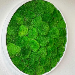 Mosbillede pudemos Ø30 cm