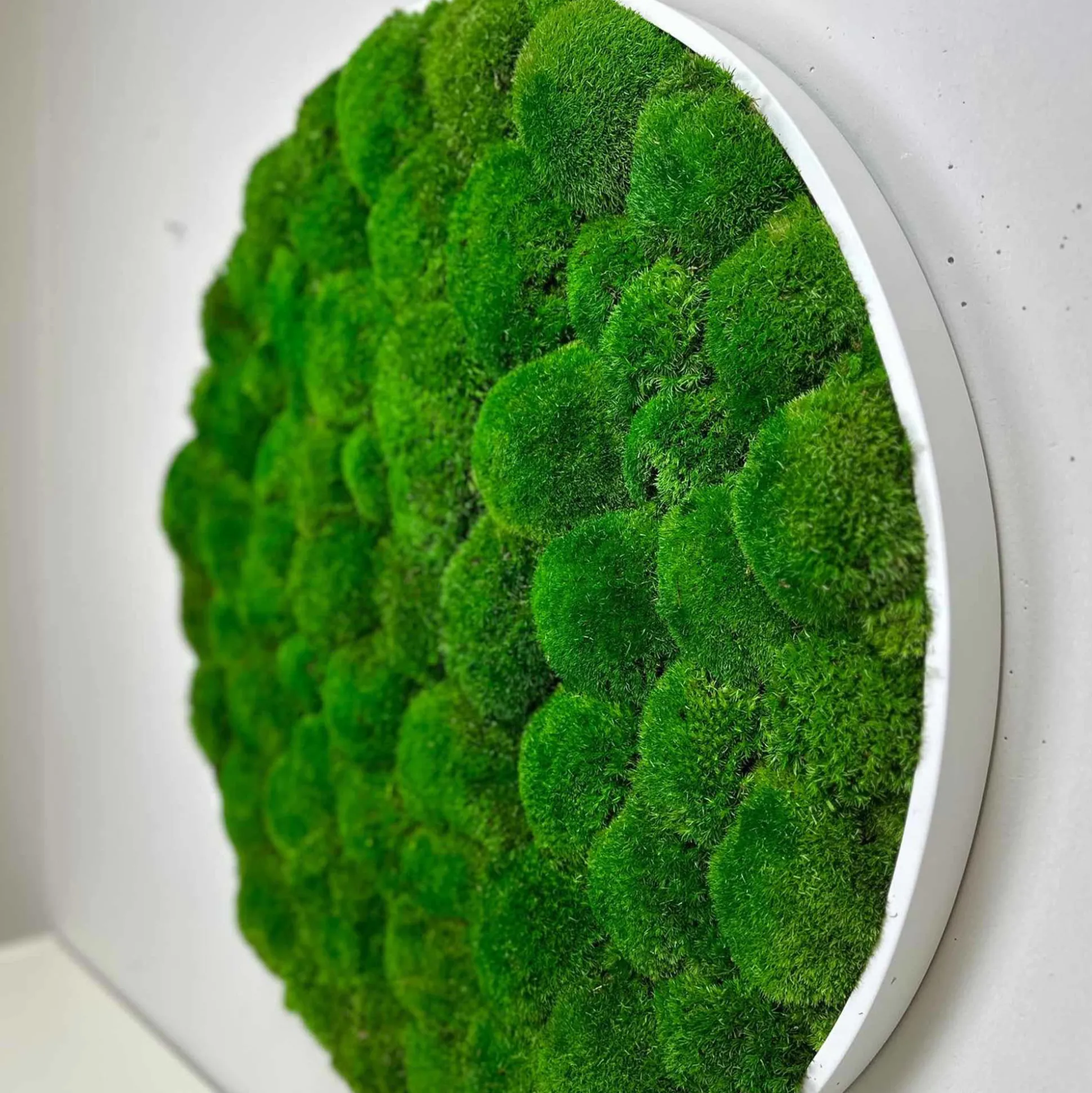 Mosbillede pudemos Ø80 cm