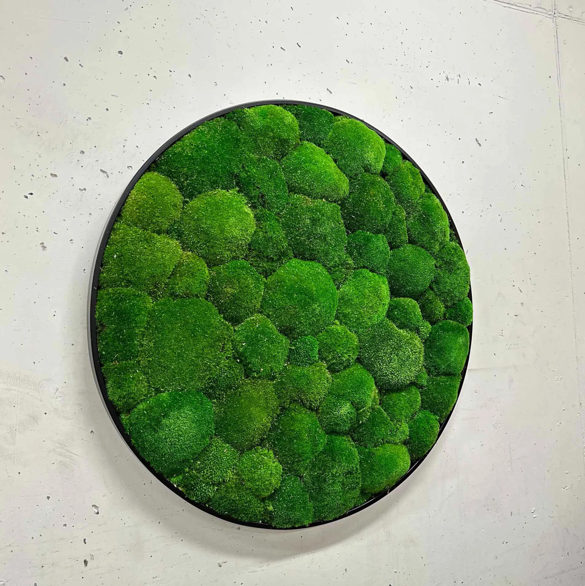 Mosbillede pudemos Ø80 cm