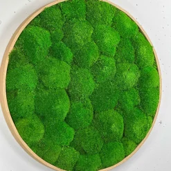 Mosbillede pudemos Ø50 cm