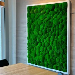 Mosbillede pudemos 70x50 cm