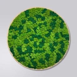 Mosbillede rensdyrmos Ø30 cm