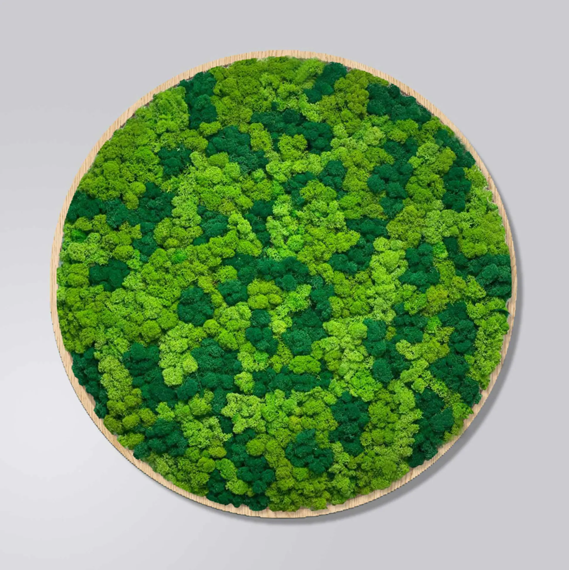 Mosbillede rensdyrmos Ø30 cm