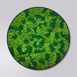 Mosbillede rensdyrmos Ø50 cm