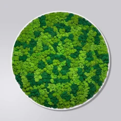 Mosbillede rensdyrmos Ø50 cm