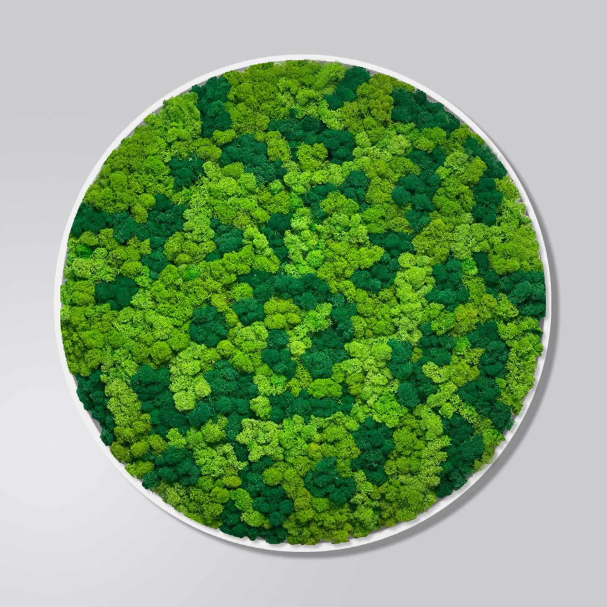 Mosbillede rensdyrmos Ø50 cm