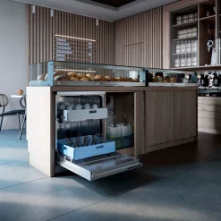 Professionel Industriopvaskemaskine Asko DWCFS5936S