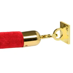 Vægkrog Classic rustfrit stål, guld